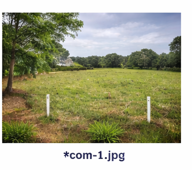 Corporate lease — premium villa